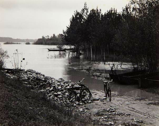 polasein500cc's tweet photo. Il Mondo Piccolo è un puntino nero che si muove assieme ai suoi pepponi e ai suoi smilzi, in su e in giù, lungo il Po

(Giovannino Guareschi)

Bici d’Emilia  📷 Paul Strand (Luzzara, 1953) https://t.co/fu9BRWVTf2