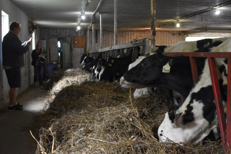 BQNCanada's tweet photo. Small but mighty! See how an agri-food system that "covers only 0.2 per cent of total land area in Ontario" can make major waves for the entire country by contributing "$2.8B to Canada’s GDP, $841M to Ontario’s GDP &amp; employ[ing] over 12,000 people."

https://t.co/rnF4Ngvgij https://t.co/A01fhv5RL2