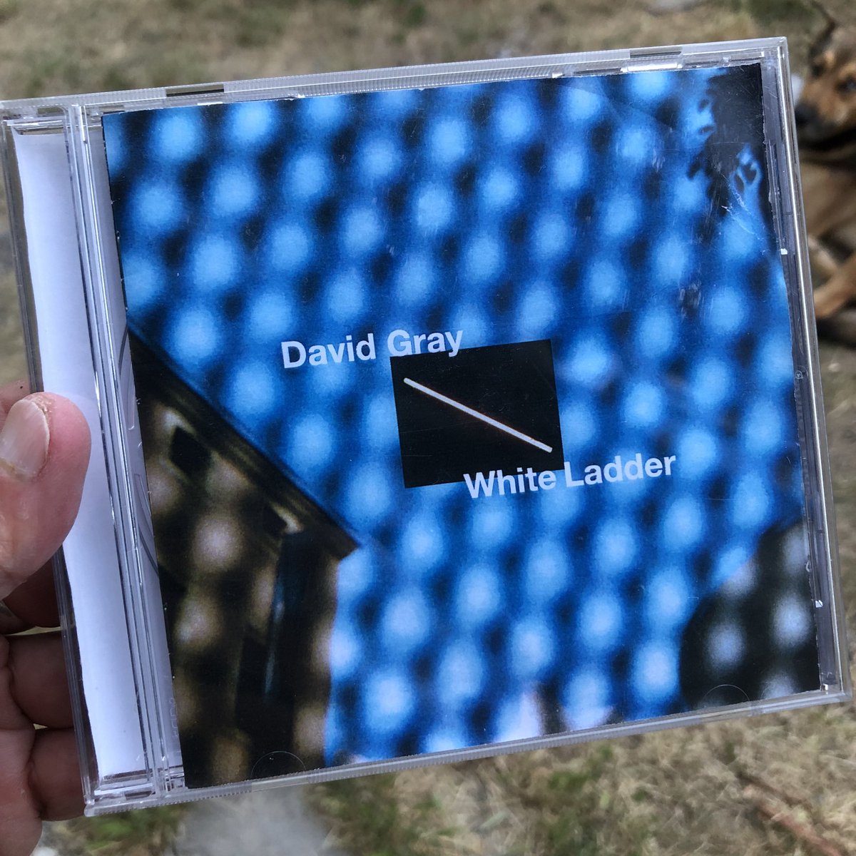 lecartographe's tweet photo. Jโavais oubliรฉ cet album de David Gray et cโest bien dommage !
#WhiteLadder https://t.co/WfdVy6c8No