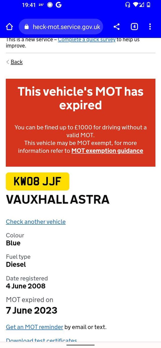 Stephanie Thomas tweet media