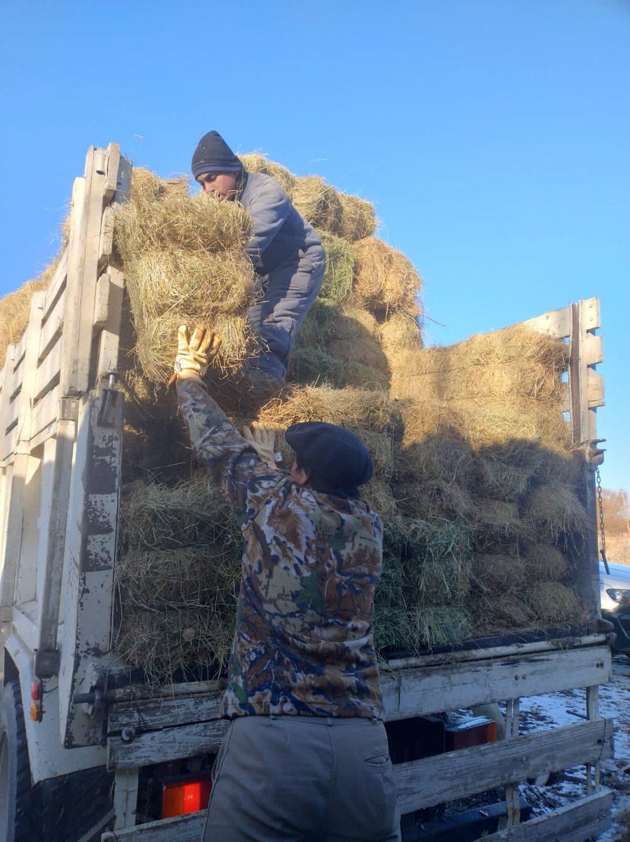 LeaCavaco's tweet photo. Desde el @gobiernochubut continuamos con la entrega de forraje para los productores, en las zonas más complejas de nuestra provincia. Siempre acompañando al sector productivo de Chubut, como lo indica @arcionimariano @MAGIyCchubut https://t.co/0ZF7DSNb4h