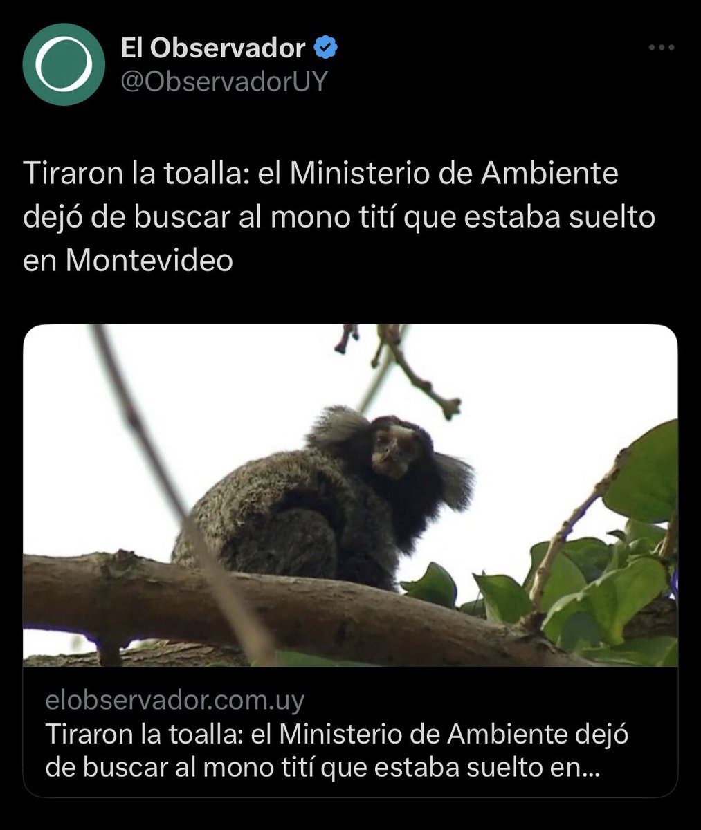 Conoce mejor montevideo q laura raffo