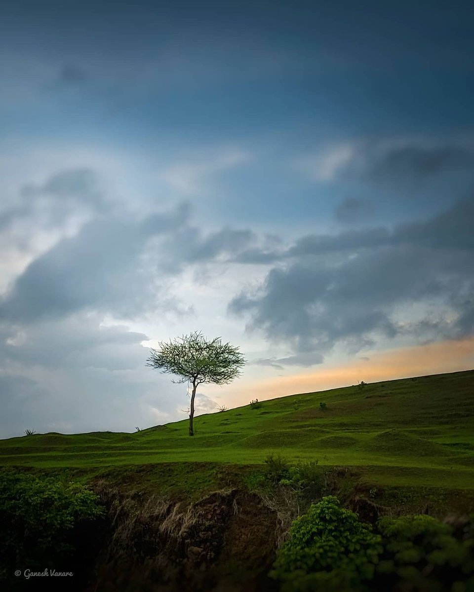 haram_khor_'s tweet photo. Gm 
" By discovering nature, you discover yourself ". https://t.co/25zPKC3EX7