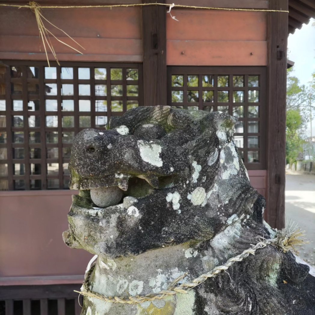 komainu1000 tweet picture