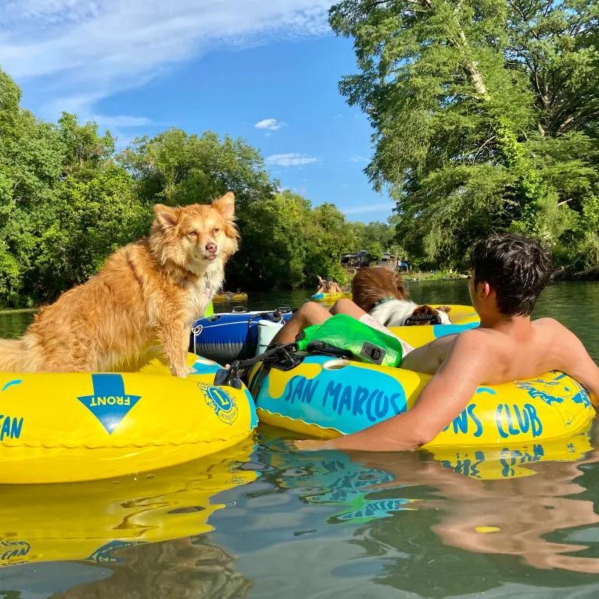 San Marcos Area Chamber of Commerce tweet media