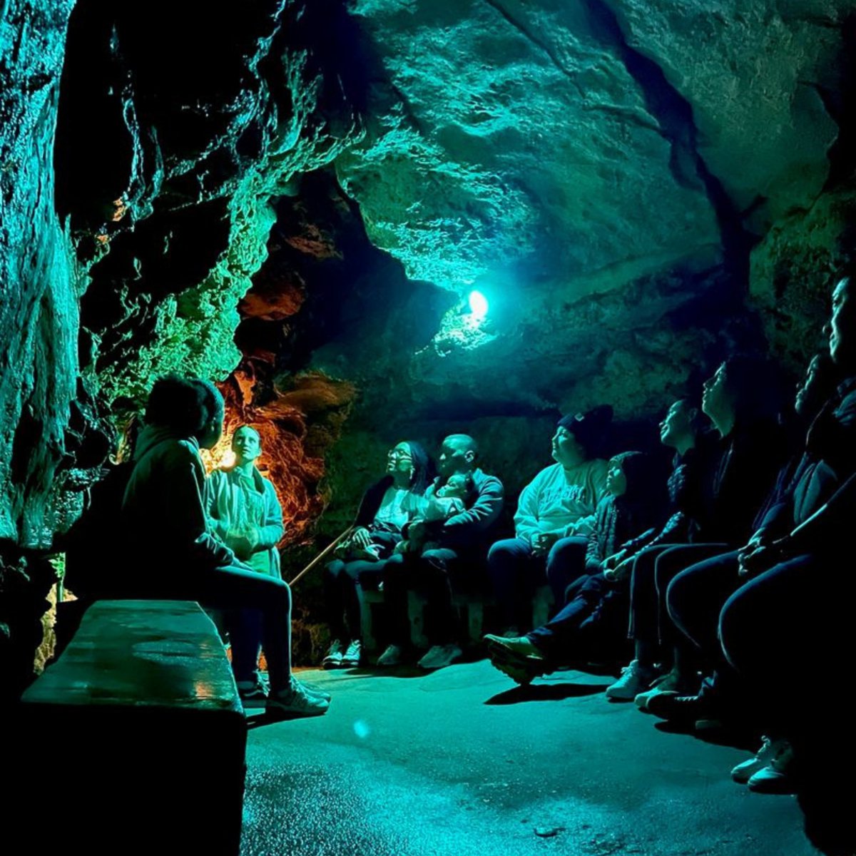 San Marcos Area Chamber of Commerce tweet media