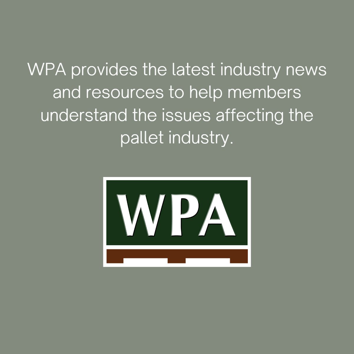westernpallets's tweet photo. Check out our website at https://t.co/QgHvPupElT to find more news and resources.

#pallets #knowledgeshare #news https://t.co/01kihwH3mh