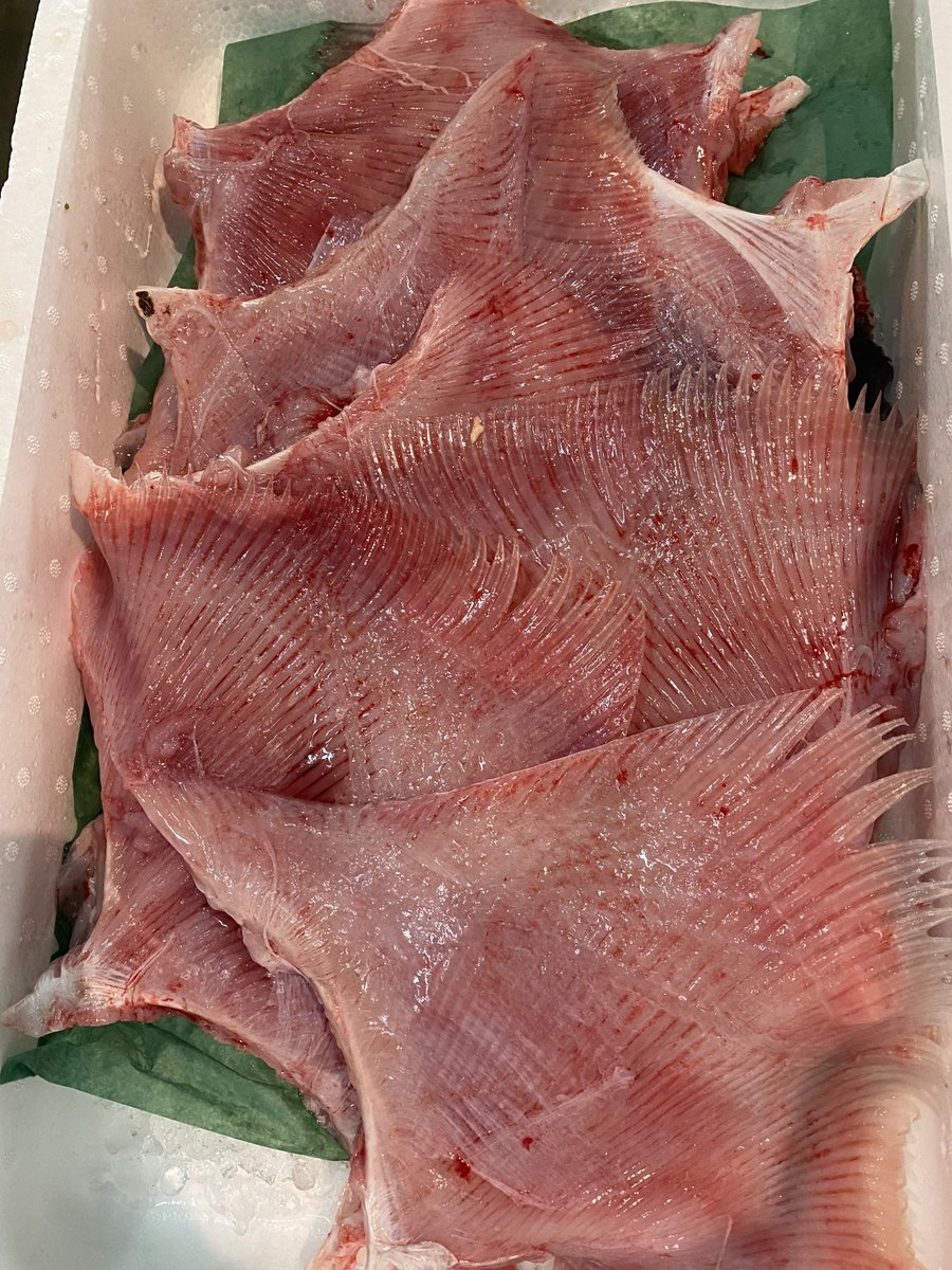 tgglobal_en's tweet photo. Our recommended item is Fresh Ray Fin  #tgglobal #export #hokkaido #Asia #Malaysia #Taiwan #Australia #seafood #rayfin https://t.co/fLOerkFd6S