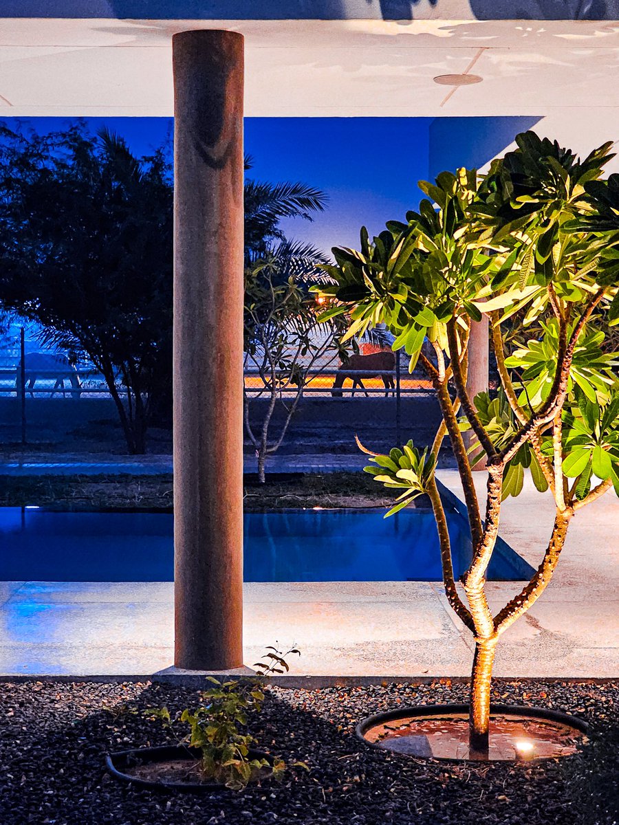 Rewarding feeling!. t's fulfilling to see the vision come to life as plants thrive and the overall design takes shape. The process of watching nature take its course and transform the space into a beautiful landscape is often filled with excitement and joy. #Architecture