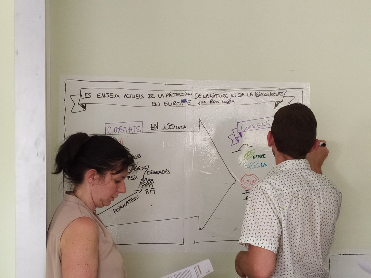 FacilEurope's tweet photo. Visual Map sur le thème de la biodiversité en Europe en cours de réalisation ⚠️ Les stagiaires retranscrivent visuellement les notions acquises hier lors de la conférence scientifique de Rémi Luglia. https://t.co/WrIym7PYHA