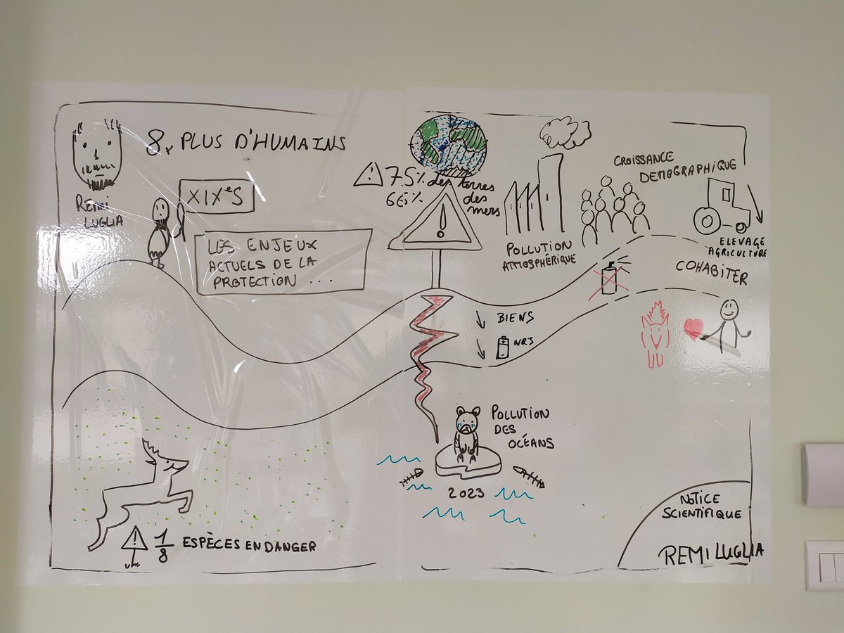 FacilEurope's tweet photo. Visual Map sur le thème de la biodiversité en Europe en cours de réalisation ⚠️ Les stagiaires retranscrivent visuellement les notions acquises hier lors de la conférence scientifique de Rémi Luglia. https://t.co/WrIym7PYHA