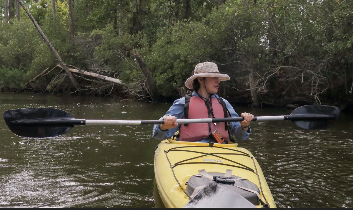 marnicpatterson's tweet photo. Looking for a way to have fun and get some good exercise on this #WellnessWednesday? Try #kayaking in a #maritimeforestlike our group did in the  #outerbanks.

#outerbanksnc #obx #obcnc #maritimeforestry #obxnow #travelwritersuniversity #ifwtwa1 @ifwtwa1 https://t.co/p6iqs7gPGW