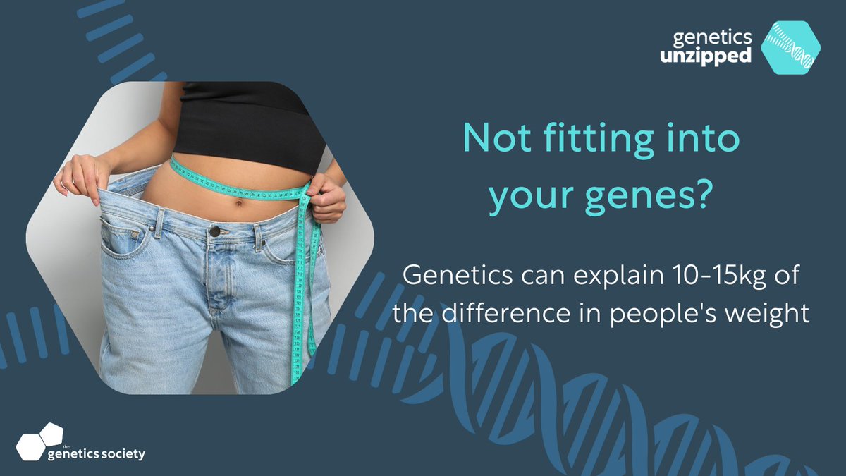Although there aren't any 'genes for obesity', there are thousands of genetic variants that contribute to your weight. If you were genetically unlucky and had all of these variants, you'd be 10-15kg heavier than someone without them. Find out more: geneticsunzipped.com/blog/2023/7/13…
