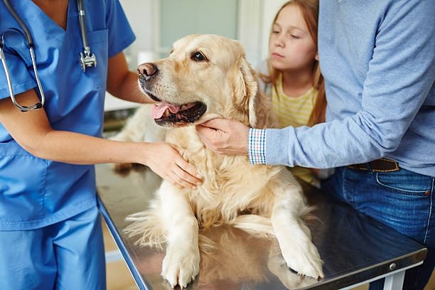 🐾 Need to find a vet clinic nearby? Check out Glonur, the ultimate website for all your pet's healthcare needs! 
🐾Get instant access to a comprehensive list of veterinary clinics in your area. 
@Glonurofficial
#PetCare #VetClinics #Glonur