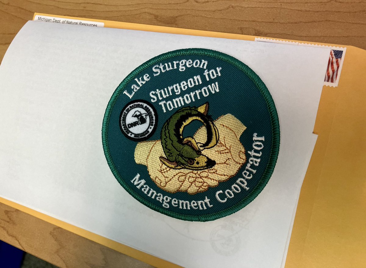 Andrew Briggs (@fishbio_briggs) on Twitter photo Just sent out the first #LakeSturgeon patch of the new design! Anglers receive a patch for reporting the capture of one of our tagged #sturgeon along with a letter detailing the capture history of that fish. <a href="/stclairsturgeon/">St, Clair-Detroit River Sturgeon for Tomorrow</a> provides us with patches.
#GreatLakes #SciComm Just sent out the first #LakeSturgeon patch of the new design! Anglers receive a patch for reporting the capture of one of our tagged #sturgeon along with a letter detailing the capture history of that fish. <a href="/stclairsturgeon/">St, Clair-Detroit River Sturgeon for Tomorrow</a> provides us with patches.
#GreatLakes #SciComm