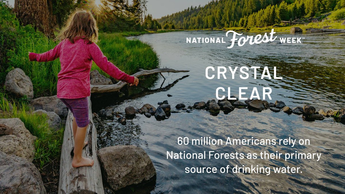 NationalForests's tweet photo. Help us spread the word this #NationalForestWeek – National Forests are AWESOME! They are a pillar of local economies and provide drinking water for thousands of communities across the U.S! Find your #ForestMode on a National Forest near you! https://t.co/d6wuMjIVrh