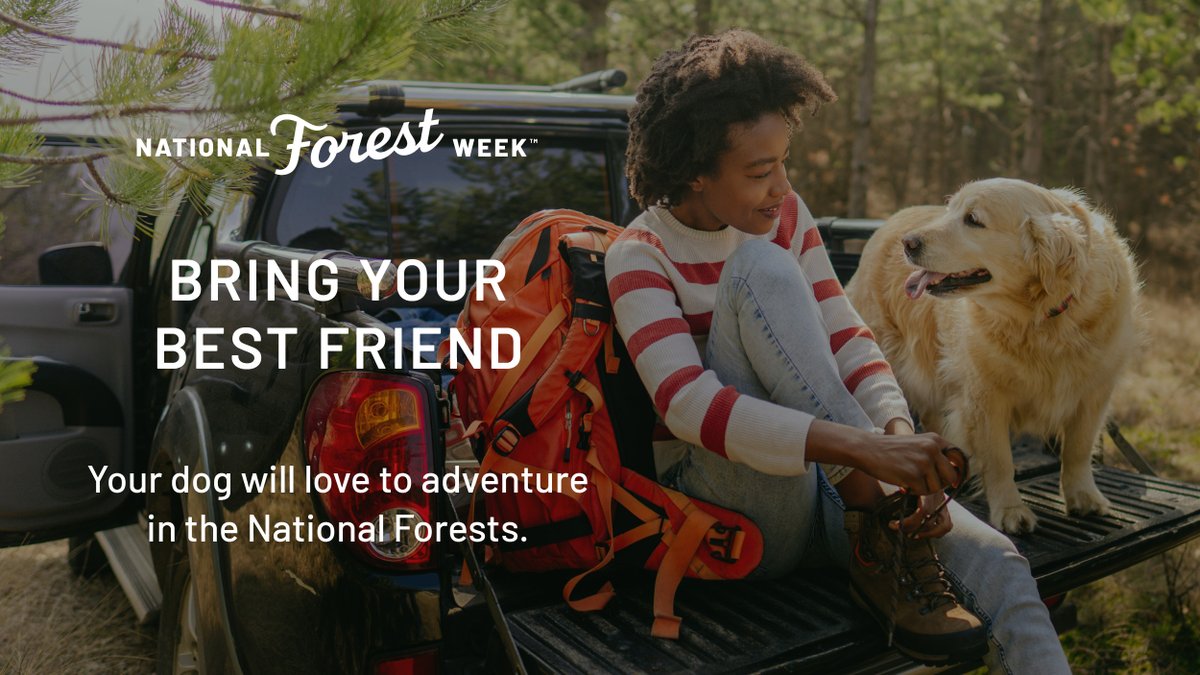 NationalForests's tweet photo. Help us spread the word this #NationalForestWeek – National Forests are AWESOME! They are a pillar of local economies and provide drinking water for thousands of communities across the U.S! Find your #ForestMode on a National Forest near you! https://t.co/d6wuMjIVrh