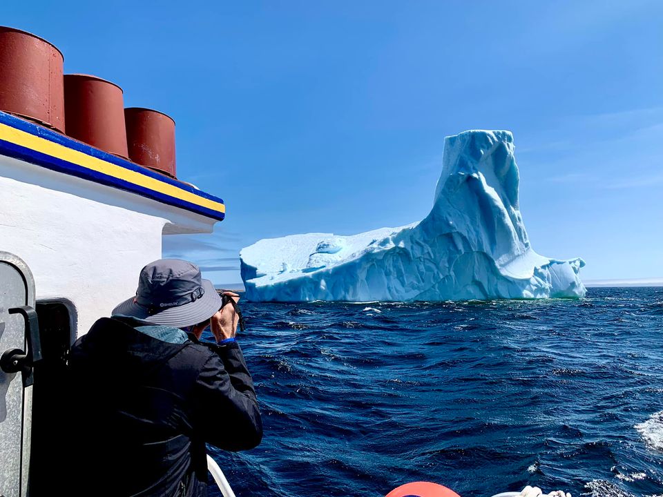 BattleHarbour's tweet photo. Beautiful colours in this iceberg on the way to Battle Harbour today. #iceberg #icebergfinder #newfoundlandandlabrador #newfoundland #icebergalley #BattleHarbour #staycationNL #explorenlr #explorecanada #cbcnl #NTVNews #expedition51 https://t.co/T4QCs4Dwzo