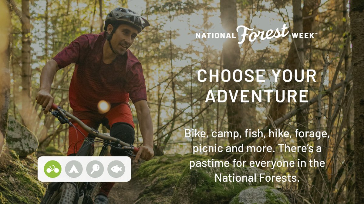 NationalForests's tweet photo. Help us spread the word this #NationalForestWeek – National Forests are AWESOME! They are a pillar of local economies and provide drinking water for thousands of communities across the U.S! Find your #ForestMode on a National Forest near you! https://t.co/d6wuMjIVrh