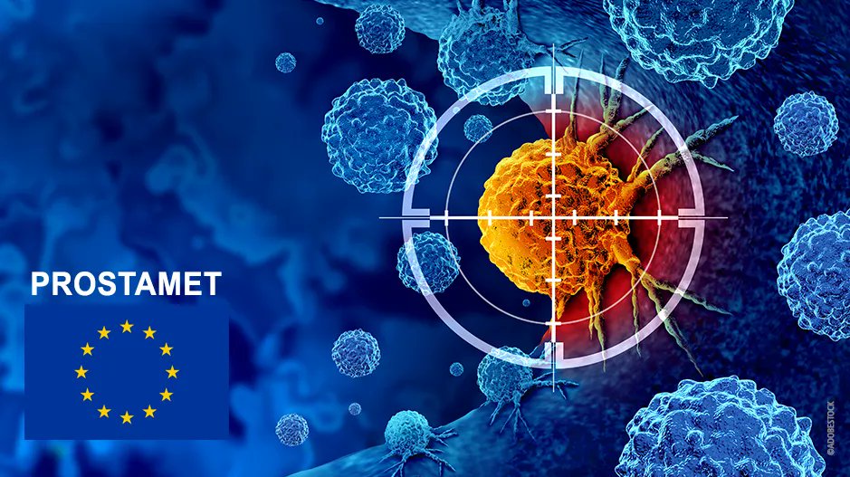 frsFNRS's tweet photo. 🔬PROSTAMET – Réseau européen de formation doctorale pour combattre le cancer de la prostate🔬
➡ Catherine Michaux, Chercheuse qualifiée @frsFNRS, Prof. @UNamur @narilis_namur, obtient un financement sur 4 années, afin de collaborer au projet PROSTAMET, 
https://t.co/C1dXCpxh89 https://t.co/kry3ko6hJK