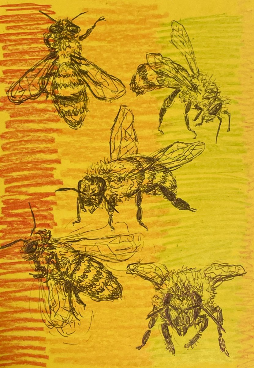 ememarem's tweet photo. in honor of all the bees who made their way into my apartment yesterday https://t.co/PgKJ3uUGRB