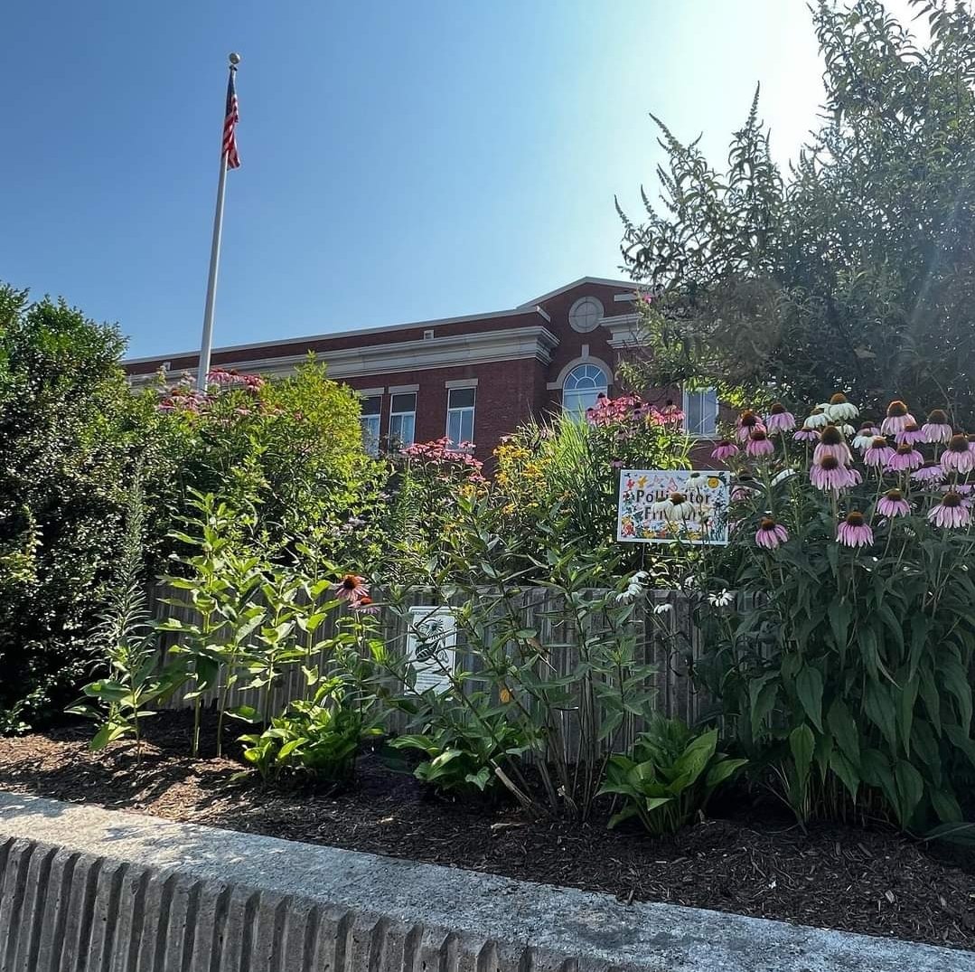 PtoHart's tweet photo. Pollinators are buzzing in @hartmagnetes schoolyard habitat!! And it’s only just the beginning! I can’t wait to see the late summer colors!! 
#pollinatorpathway #native #helpthebees #echinacea #milkweed #blackeyedsusan #blazingstar #beebalm #goldenrod #chokeberry #newenglandaster https://t.co/FXP0G6ImTa