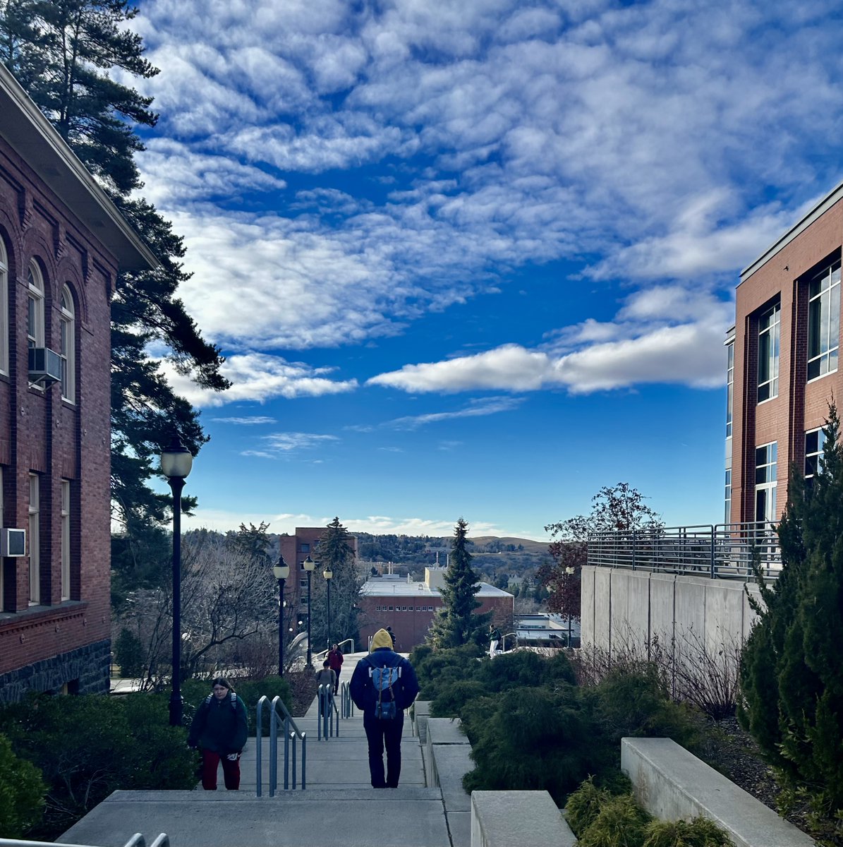 Katherine Corn, PhD (@damalichthys) on Twitter photo Please share: I'm recruiting 1-2 M.S. or Ph.D. students for fall 2024 at <a href="/WSUPullman/">WSU Pullman</a> ! The Corn Lab studies evolution & functional morphology of vertebrates, particularly fishes.
More info: kacorn.github.io/opportunities Please share: I'm recruiting 1-2 M.S. or Ph.D. students for fall 2024 at <a href="/WSUPullman/">WSU Pullman</a> ! The Corn Lab studies evolution & functional morphology of vertebrates, particularly fishes.
More info: kacorn.github.io/opportunities
