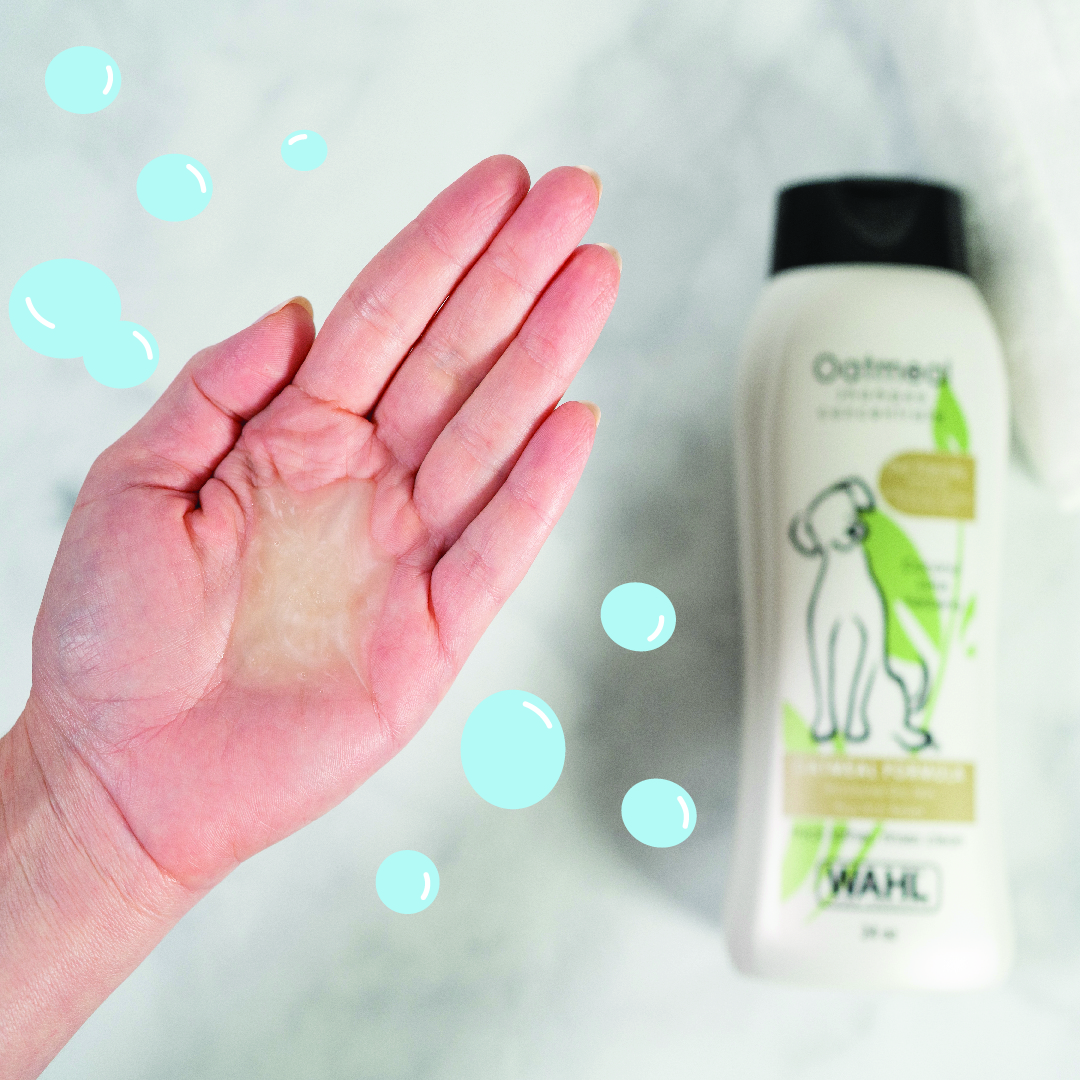 Get more while using less! Our pet shampoo is 24oz of shampoo concentrate allowing you to use less and clean more! bit.ly/3PLeggq