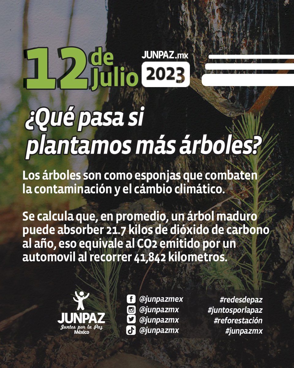 junpazmx's tweet photo. Te invitamos a participar con nosotros el próximo sábado 15 de julio a las 9:00 horas.
📍 Parque Alameda 2000
.
.
.
.
.
.
.
#RedesDePaz #SomosPaz #junpazmx #reforestacion #CámbioClimático #calentamientoglobal #Toluca #Edomex #JuntosPorLaPaz #juntosporelclima https://t.co/d7HbNXvast