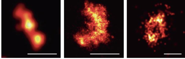 Garcia Saez Lab (@garciasaez_lab) on Twitter photo Who needs something to read these holidays??? Here a link to our new review about BCL2 family matters… rdcu.be/dgEMa
<a href="/CRC_1218/">CRC_1218</a> <a href="/Ferroptosis2306/">Ferroptosis (SPP 2306)</a> <a href="/CECAD_/">CECAD Cologne</a> <a href="/sfb_1403/">SFB_1403</a> <a href="/SpringerNature/">Springer Nature</a> Who needs something to read these holidays??? Here a link to our new review about BCL2 family matters… rdcu.be/dgEMa
<a href="/CRC_1218/">CRC_1218</a> <a href="/Ferroptosis2306/">Ferroptosis (SPP 2306)</a> <a href="/CECAD_/">CECAD Cologne</a> <a href="/sfb_1403/">SFB_1403</a> <a href="/SpringerNature/">Springer Nature</a>