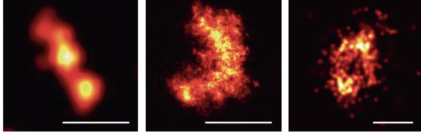 Who needs something to read these holidays??? Here a link to our new review about BCL2 family matters… rdcu.be/dgEMa @CRC_1218 @Ferroptosis2306 @CECAD_ @sfb_1403 @SpringerNature