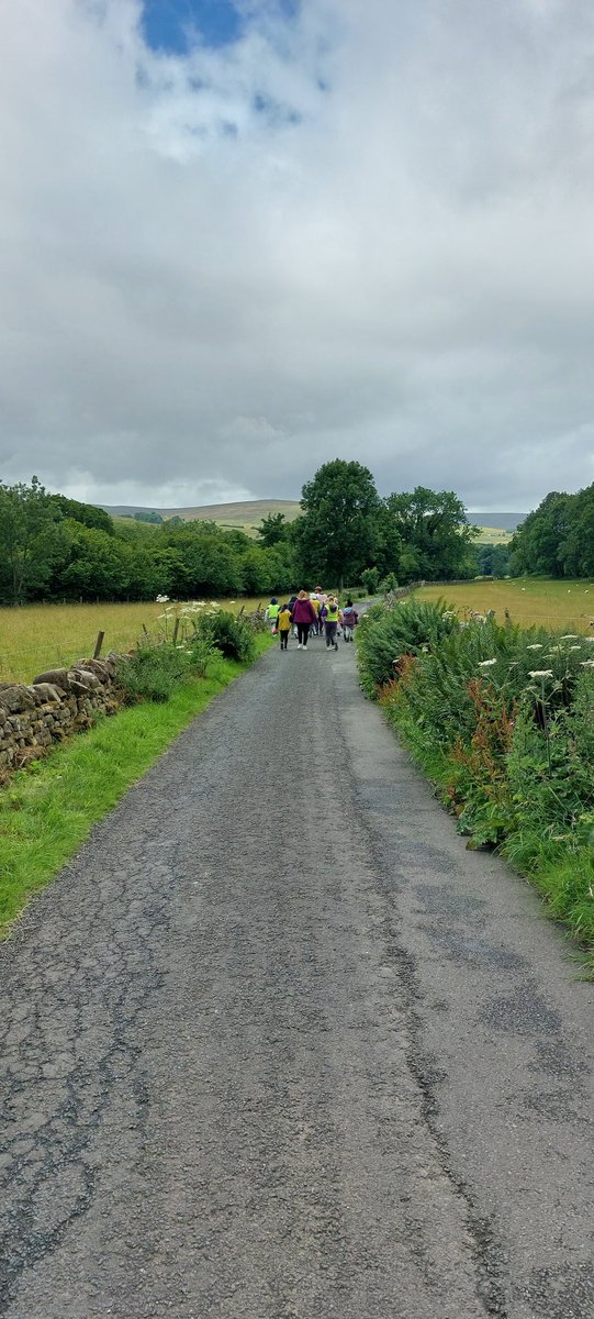 Linton Primary School tweet media