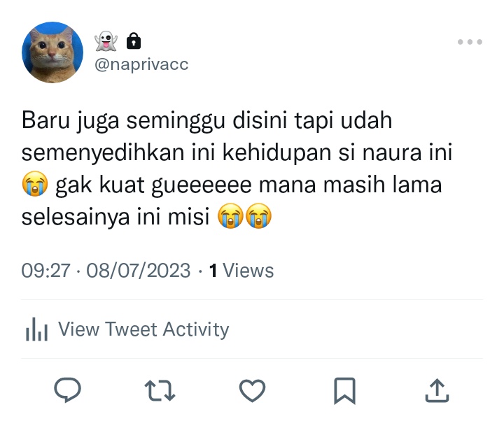 ijul tweet media