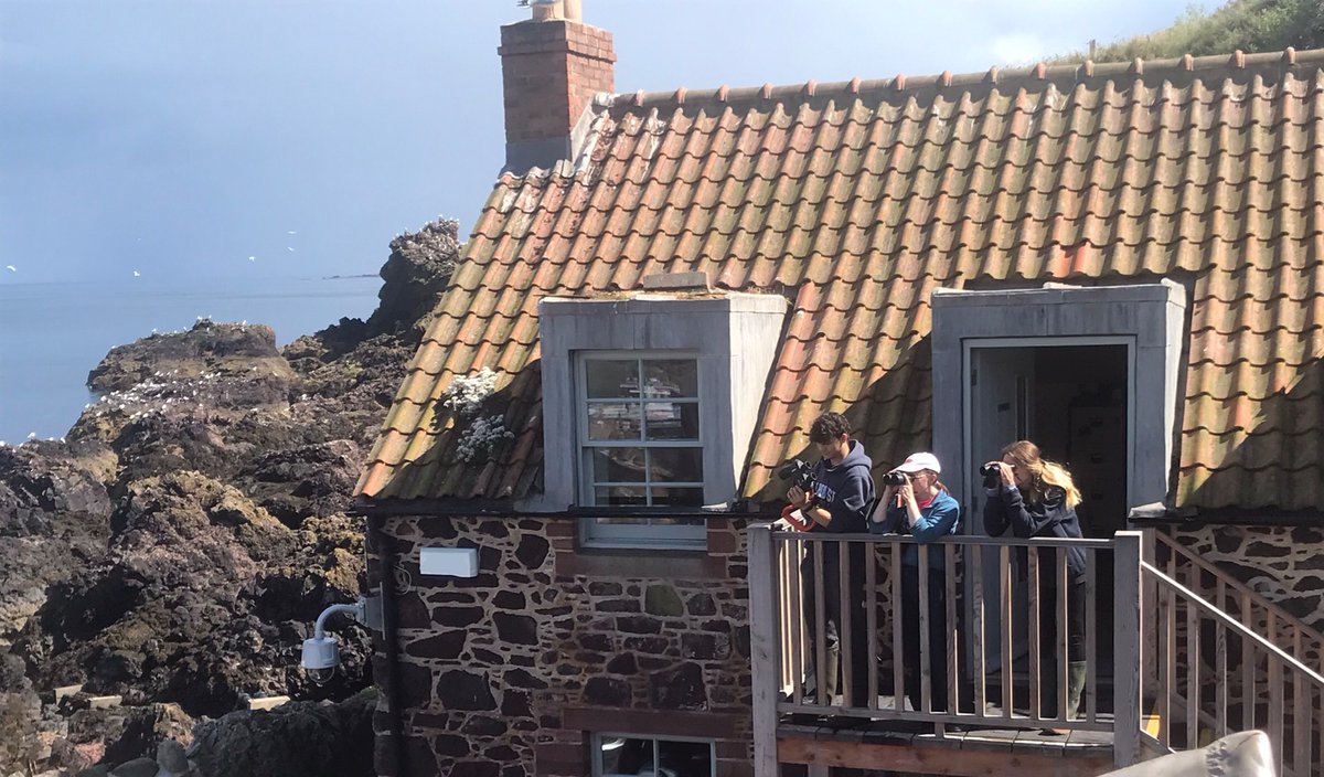 Minke whale spotted! 🐋