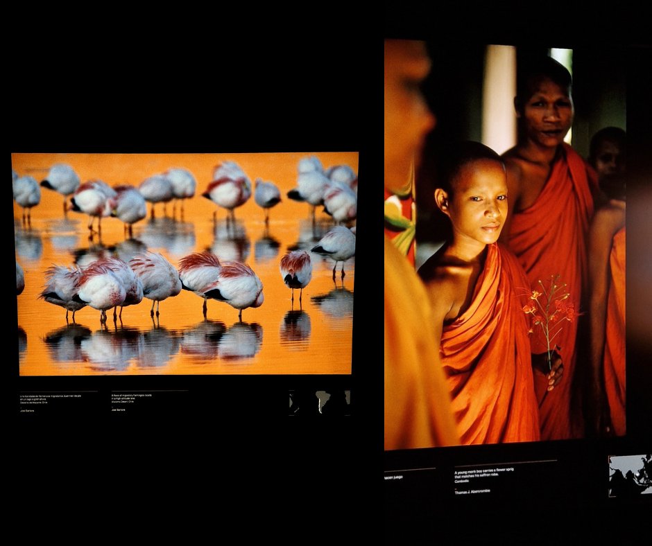 🎨🌍 <a href="/CaixaForum/">CaixaForum</a> #Zaragoza abre sus puertas a la exposición Colores del Mundo presentando 63 cautivadoras imágenes realizadas por reconocidos fotógrafos de <a href="/NatGeoEspana/">National Geographic</a>

+ ℹ️ en zaragozago.com/colores-mundo/

#CaixaForumColoresDelMundo 
<a href="/ZCultura/">Zaragoza Cultura</a> <a href="/ZaragozaTurismo/">Zaragoza Turismo</a> <a href="/zexposiciones/">zexposiciones</a>