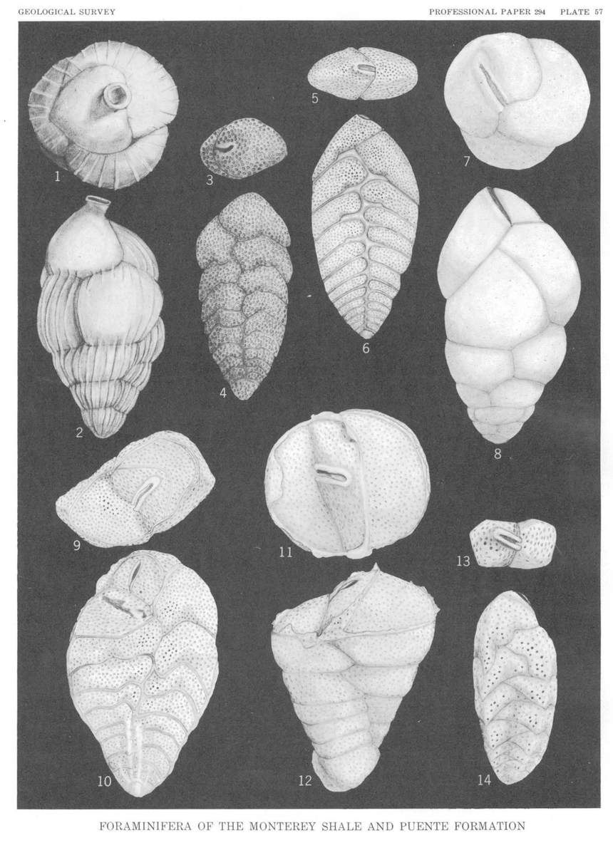 Alan Lindsey tweet media