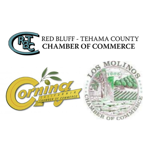 TehamaCountyED's tweet photo. Economic development corporations are tasked with growing the local economy which requires strategic thinking. Read about how Tehama County’s Chambers of Commerce play their role in this task. https://t.co/OQ3uLft2Lb #EconomicDevelopment #tehamacounty #tehama4business https://t.co/8B9Tus5ZlF