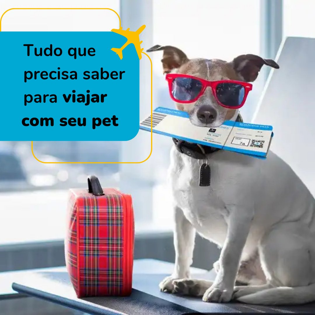 🐾🚗✈ Planejando uma viagem com seu pet? Nossa postagem no blog tem tudo o que você precisa para tornar sua jornada divertida e sem estresse! 

Confira: voopter.com.br/ofertas-e-dica… 🐶🐱