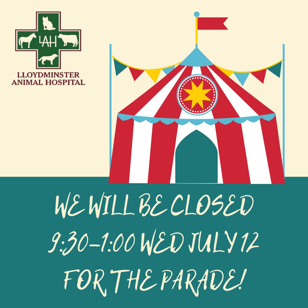 Lloydminster Animal Hospital (@lloydminsterah) on Twitter photo 