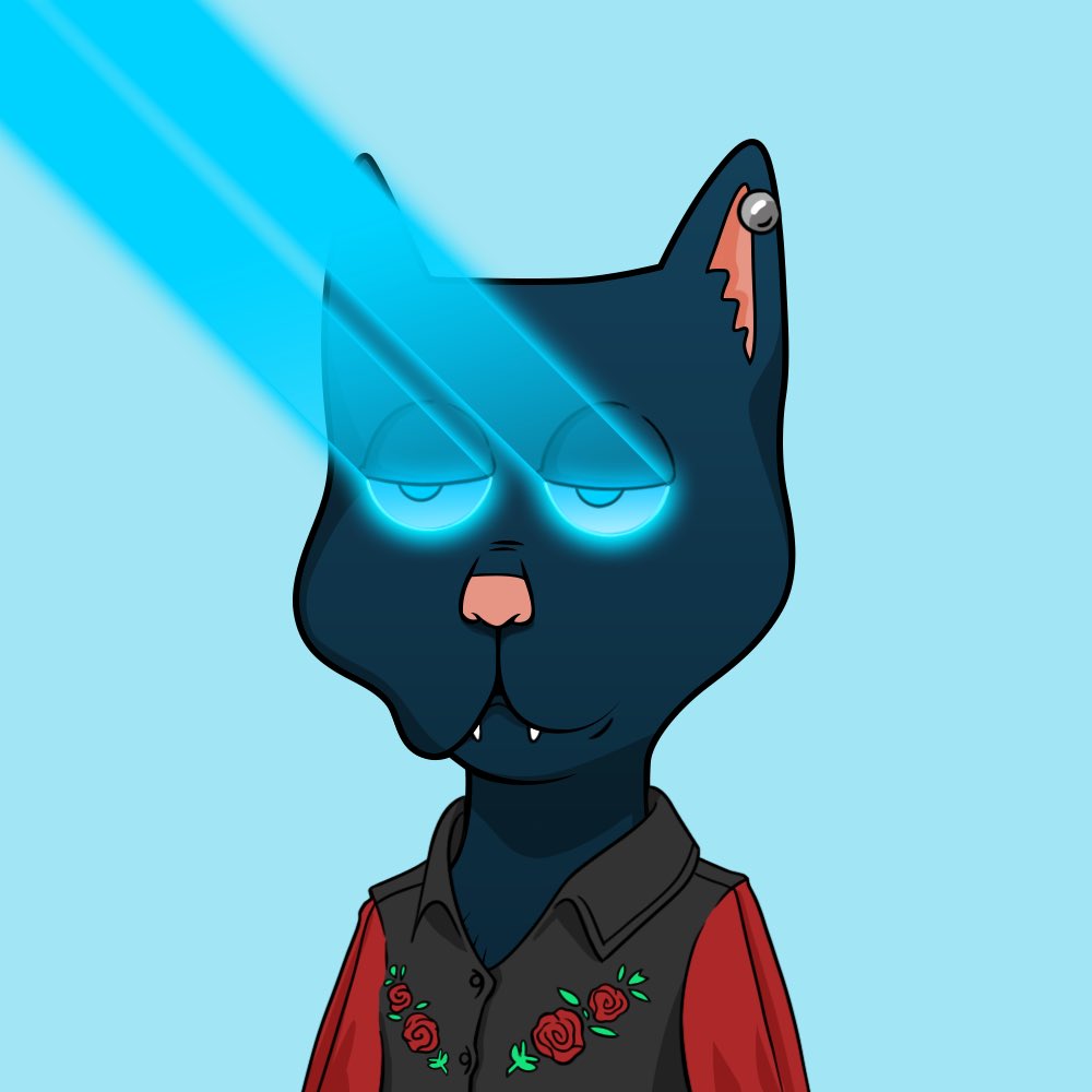 pizzacitykid25's tweet photo. @catnip_bcrc @BossCatRC Much love fam! https://t.co/gWPgDocD6Q