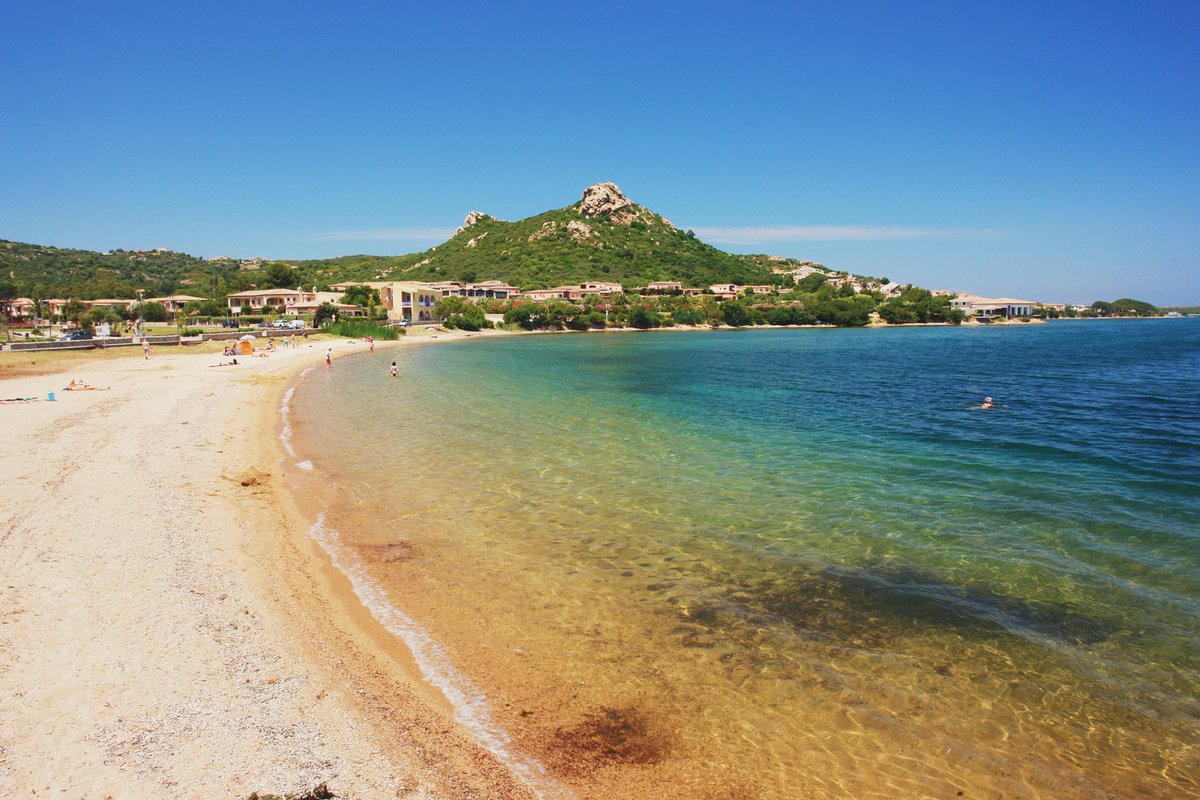 Mirror Earth tweet media