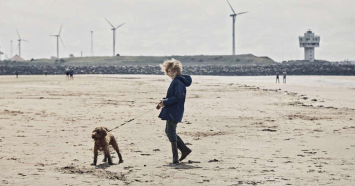 Over the long term, companies ultimately pay a price for the problems they cause — through regulation, taxes, lawsuits, reputational damage and more. mgstn.ly/3NQkbhF