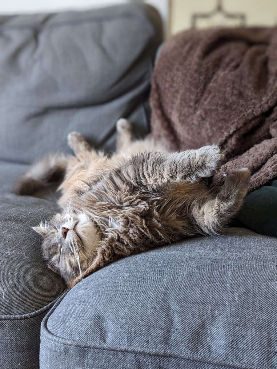 Nick Kornek tweet media