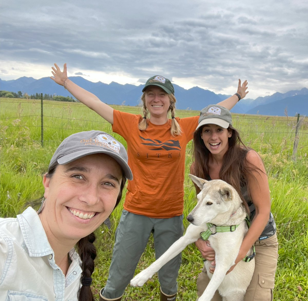 For a limited time only- Snowy Owl caps are back! We don't have many left, so get yours today!

Available on ORI's website: owlresearchinstitute.org/product-page/s…

AND- use code SnowyOwlStrong for FREE SHIPPING on all orders from now until July 31!