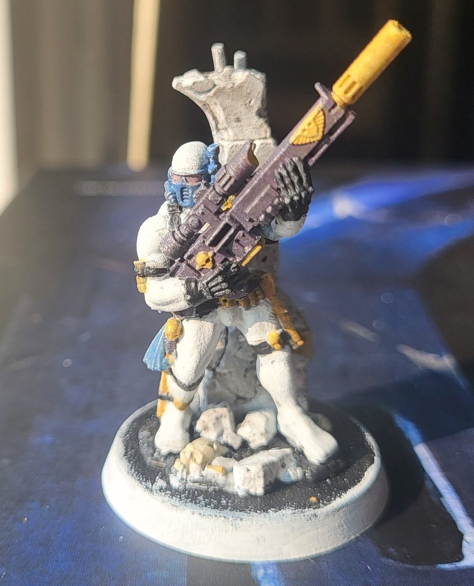 McMuffleDuff's tweet photo. First mini vs most recent mini https://t.co/hrY0WIEfkl