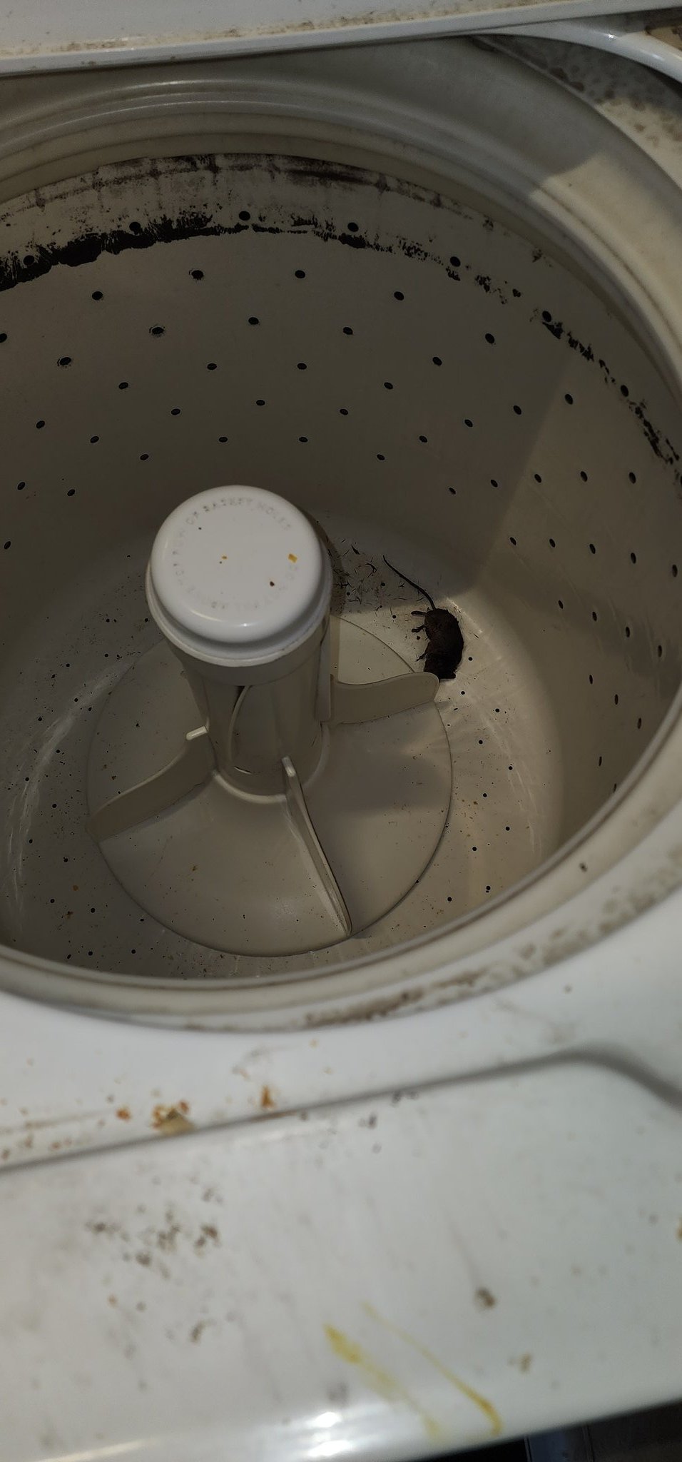 Magicmothman🔞 on Twitter "First my job leaves milk in the breakroom