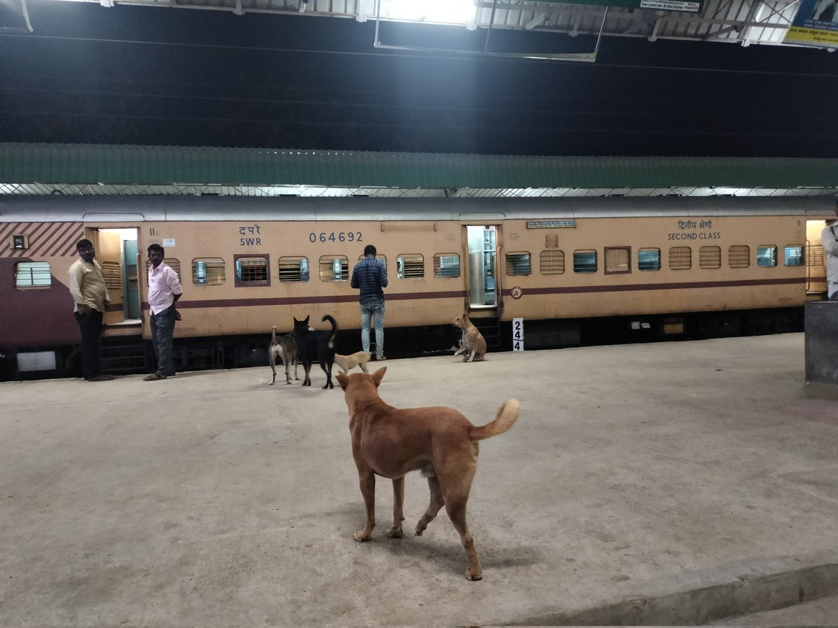 Career Launcher Shivamogga tweet media