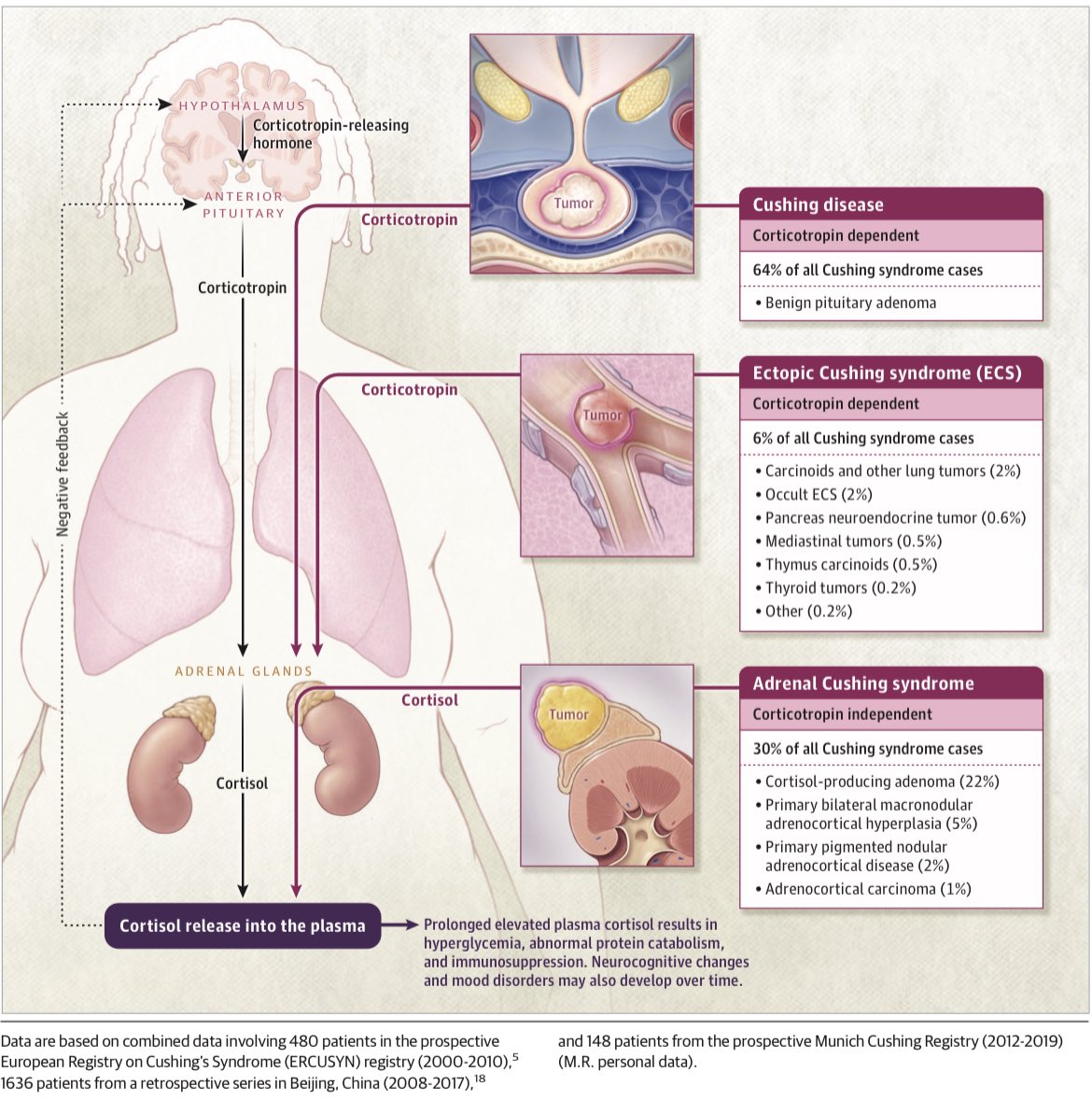 Mauricio Ambriz on Twitter "Prevalencia del síndrome de Cushing