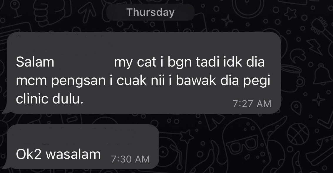 aimialf's tweet photo. ✍🏼📝 mmg legit boleh bagi alasan kucing. Thought my colleague je first time buat. DEFINITELY GONNA USE AFTER THIS!! HAHAHA

Syukur bos jenis super chill https://t.co/vkIceeOM5X
