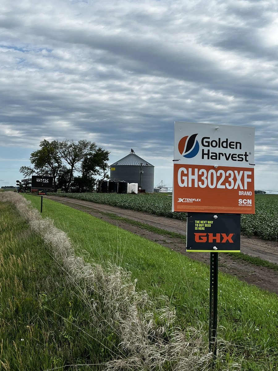 CGI Seed tweet media